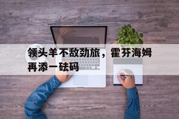 包含领头羊不敌劲旅，霍芬海姆再添一砝码的词条